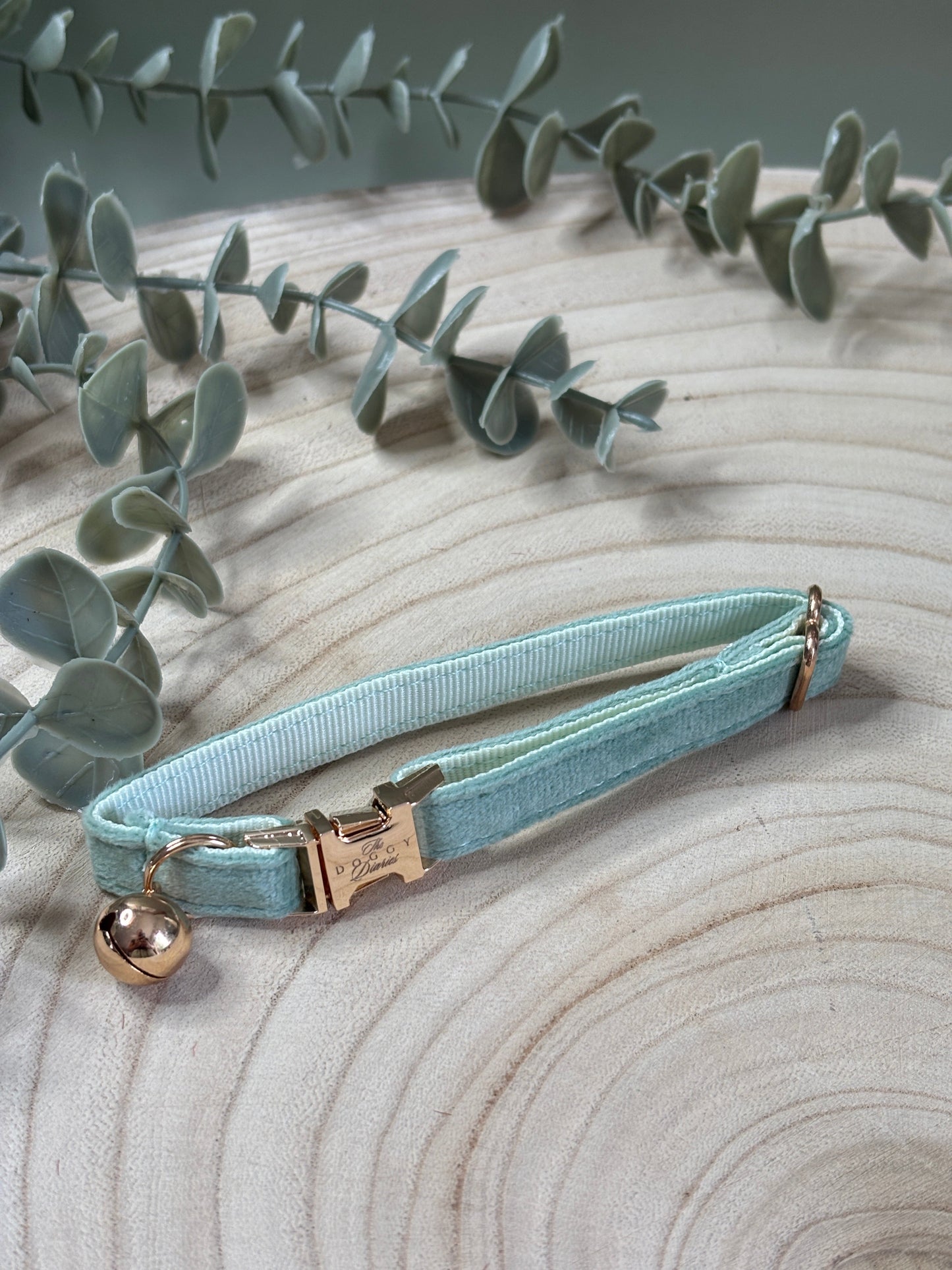 Puppy Velvet Collar
